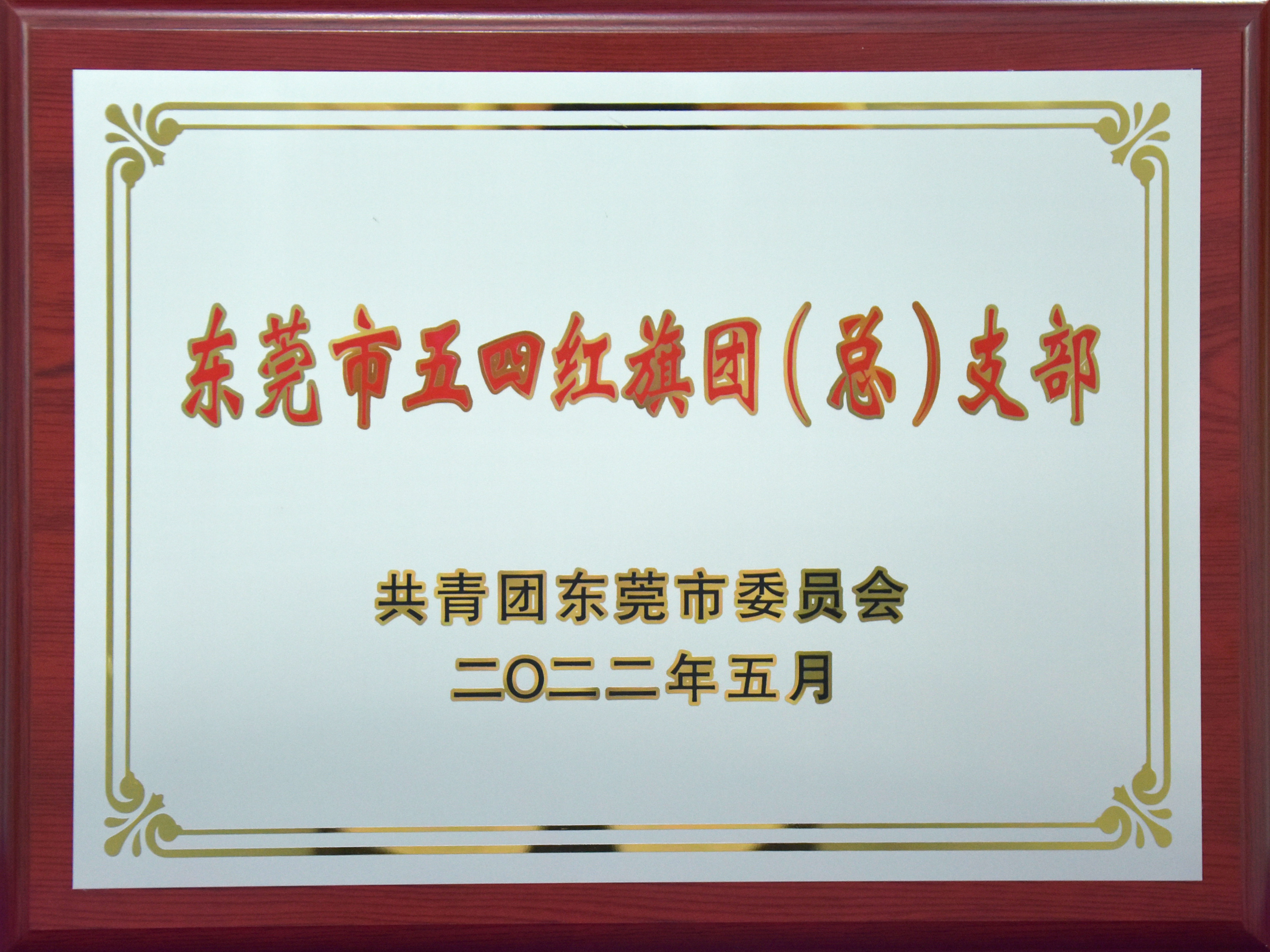 東莞市五四紅旗團支部